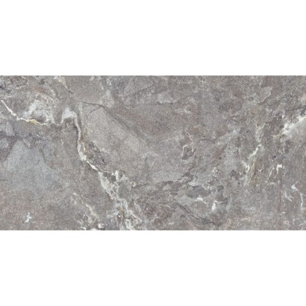 Reducere  Gresie portelanata rectificata Snake Stone Grey  60X120  mata Reducere