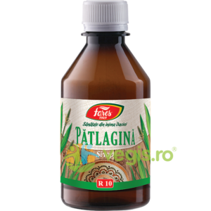 Reducere  Sirop Patlagina (R10) 250ml