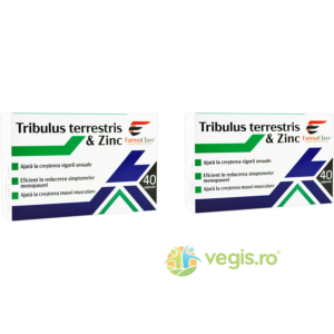 Reducere  Pachet Tribulus Terrestris si Zinc 40cps+40cps