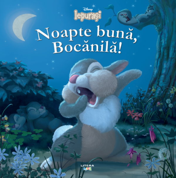 Reducere  Disney. Iepurasi. Noapte buna, Bocanila! Reducere