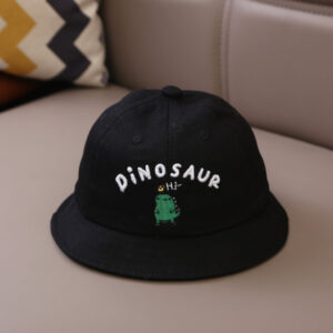 Reducere  Palariuta neagra – Hi dinosaur