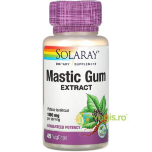 Reducere  MASTIC GUM 45cps Secom,