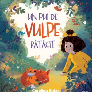 Reducere  Un pui de vulpe ratacit Reducere