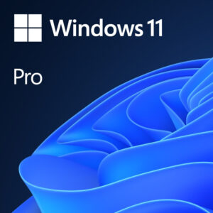 Reducere  ✅ Sistem de operare Microsoft Windows 11 Pro, 64-bit, Engleza, Retail/FPP, USB Flash Reducere