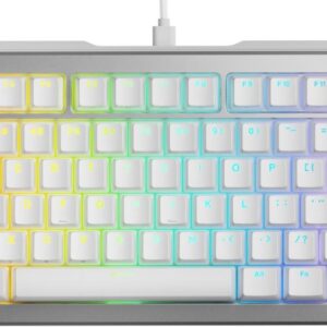 Reducere  ✅ Tastatura Gaming Glorious GMMK 3 Pro Silver RGB 75% Prebuilt, Fox MX Switch, Mecanica Reducere